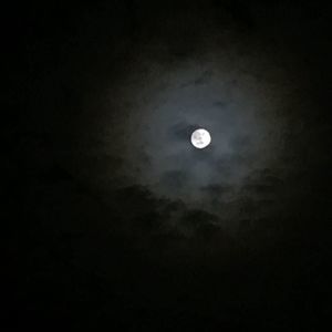 Meet your Posher, Marlene